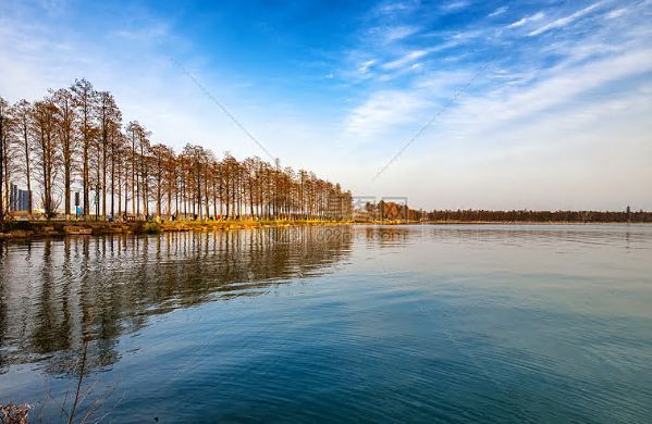 外汇交易平台的技术安全与数据保护龙8手机登录入口OEXN平台：