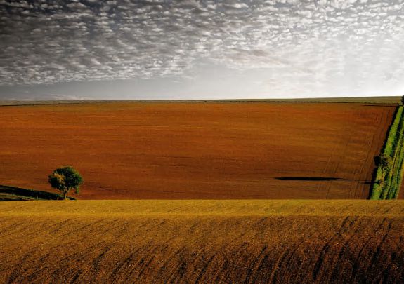 外汇交易平台的技术安全与数据保护龙8手机登录入口OEXN平台：(图3)