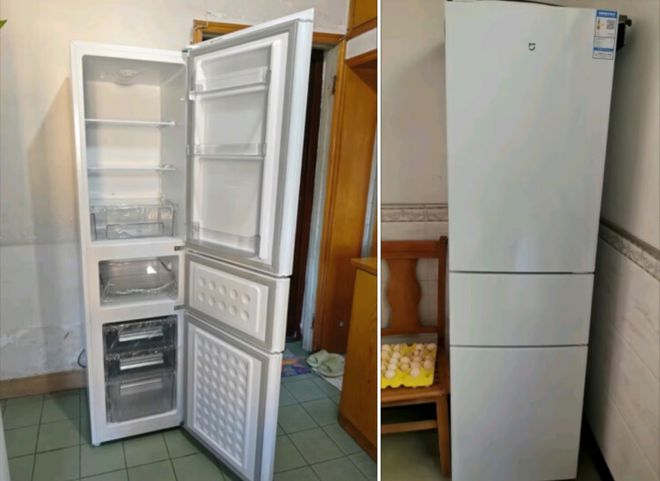 门冰箱最低只要687元最狠一款降两千龙8手机登录入口性价比炸裂的3款三(图3)