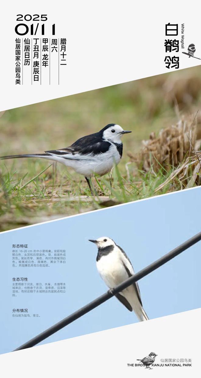 5年仙居县消费品以旧换新开始了龙8游戏进入@仙居人 202(图3) 5年仙居县消费品以旧换新开始了龙8游戏进入@仙居人 202(图3)