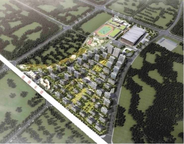 新站区新房源【房价】合肥新站区新房-合肥(图5)